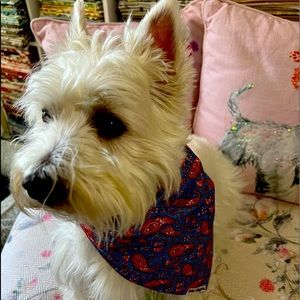 Set of “2” Self-Lined Bandana’s. 2 inch casing for your dogs comfort.